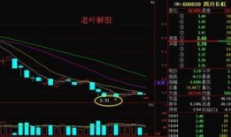 四川爆料最新消息视频播放,视频揭露惊人真相，网友热议不断！
